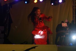 IMG_8334